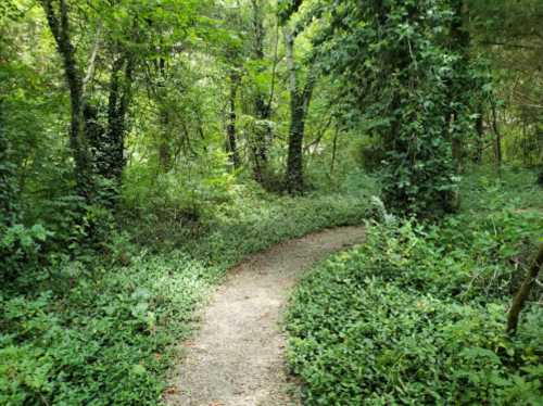 A winding gravel path through a lush, green forest filled with trees and dense foliage.