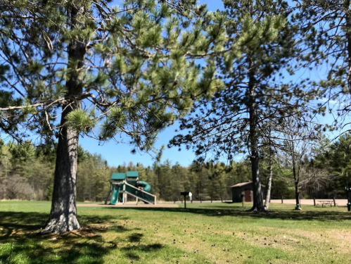A sunny park scene with green trees, a playground structure in the background, and a clear blue sky.