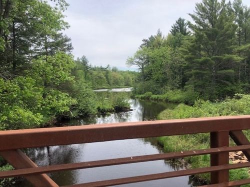 A serene view of a river surrounded by lush green trees, seen from a bridge on a cloudy day.