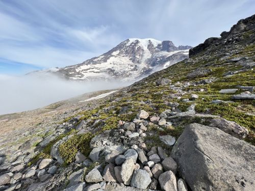 A rocky landscape with green moss, leading up to a snow-capped mountain under a cloudy sky.