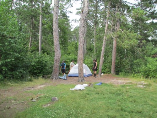 Three people set up a tent in a wooded area surrounded by tall trees and greenery.