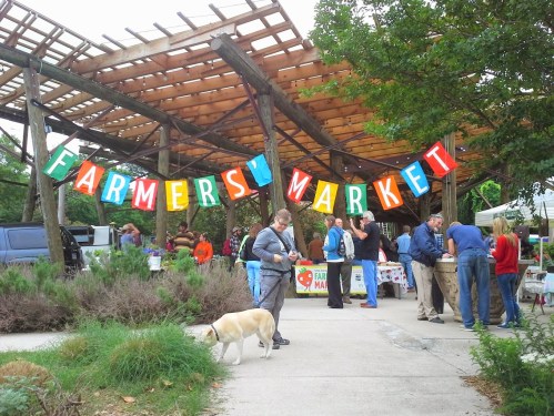 A lively farmers market under a wooden structure, with colorful banners and people browsing stalls. A dog is nearby.
