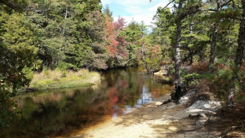 A serene river flows through a forest, surrounded by trees with hints of autumn colors and a sandy bank.