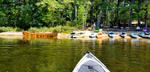 A peaceful lakeside scene with kayaks lined up on the shore and lush greenery in the background.