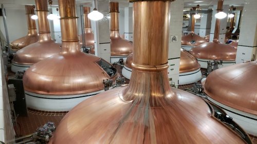 Interior of a brewery featuring large copper brewing kettles arranged in a spacious, well-lit room.