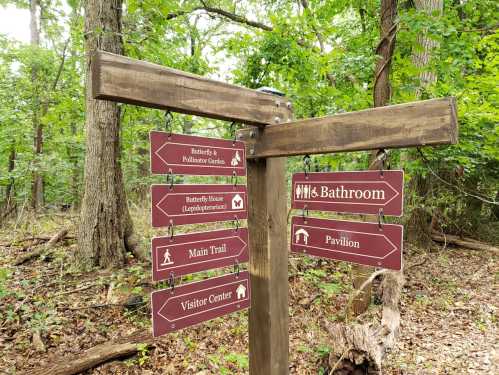 Wooden signpost in a forest with directional arrows for bathroom, visitor center, pavilion, and trails.