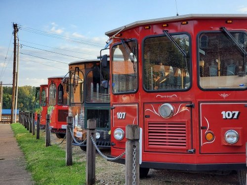 A row of colorful red trolleys parked along a grassy area, with power lines and trees in the background.