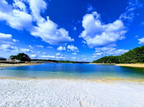 A serene beach scene with white sand, clear blue water, and fluffy clouds under a bright sky. Green trees line the shore.