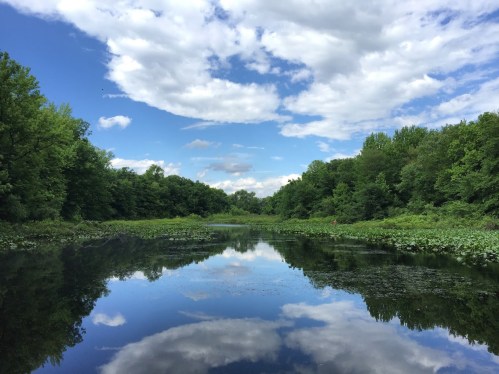 A serene river scene with lush green trees and a blue sky reflected in calm water, dotted with clouds.