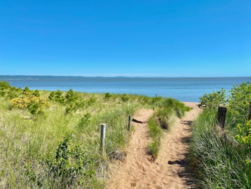 A sandy path leads through green grass to a calm sea under a clear blue sky.