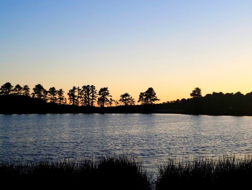 Silhouette of trees against a tranquil lake at sunset, with a gradient sky transitioning from orange to blue.