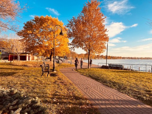 A scenic park path lined with autumn trees, benches, and a view of the water under a clear blue sky.