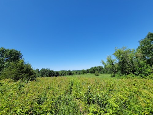 A wide view of a green field under a clear blue sky, surrounded by trees and distant hills.