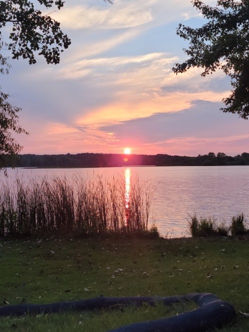 A serene lake at sunset, with vibrant colors reflecting on the water and tall grasses lining the shore.
