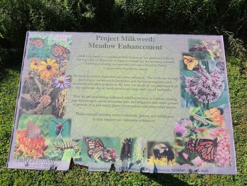 A colorful sign about Project Milkweed, highlighting meadow enhancement for wildlife and pollinator habitats.