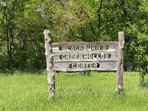 Wooden sign reading "Black Hills Green Hollow Center" surrounded by tall green grass and trees.