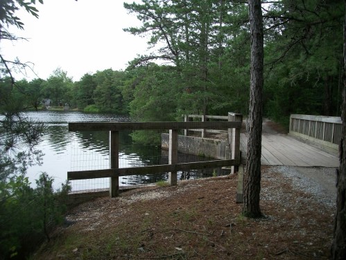 A wooden dock extends over a calm lake, surrounded by trees and a gravel path.