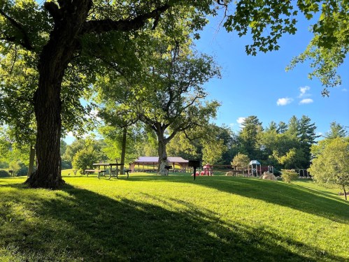 A sunny park scene with green grass, trees, and a picnic area under a blue sky with scattered clouds.