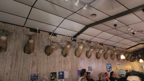 A rustic interior with mounted deer heads on the wall and people socializing below.