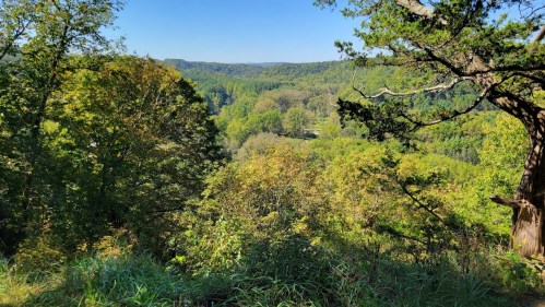 A scenic view of lush green hills and trees under a clear blue sky, showcasing the beauty of nature.