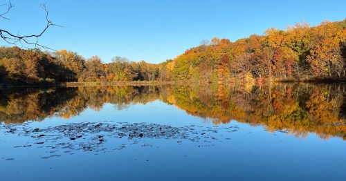 A serene lake reflecting vibrant autumn trees under a clear blue sky.