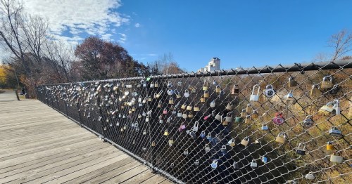 A chain-link fence adorned with numerous padlocks against a clear blue sky and trees in the background.
