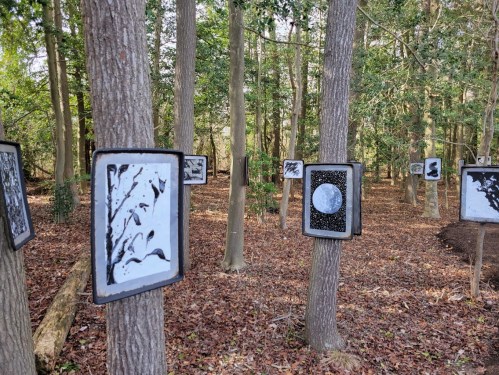 Art installations displayed on trees in a forest, featuring abstract black and white designs.