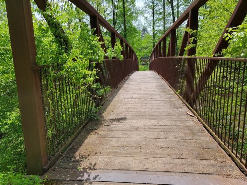 A wooden bridge surrounded by lush greenery, leading into a serene forested area.