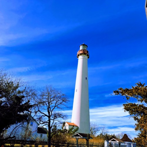 A tall white lighthouse stands against a bright blue sky, surrounded by trees and grassy areas.