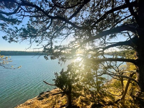 Sunlight glimmers on a calm lake, framed by branches of a tree along the shore.