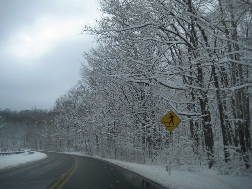 A winding road surrounded by snow-covered trees and a pedestrian crossing sign. Overcast sky above.