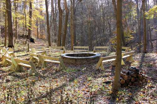 A circular stone fire pit surrounded by wooden benches in a forest with autumn foliage.