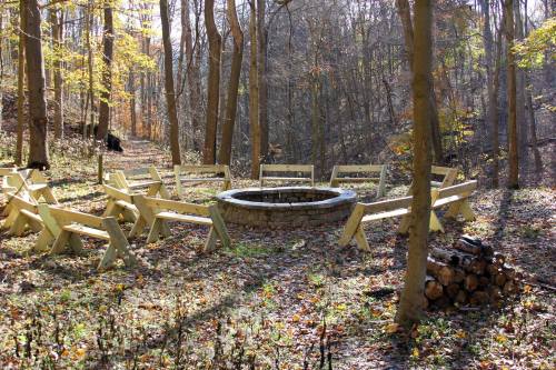 A circular stone fire pit surrounded by wooden benches in a forest with autumn foliage.