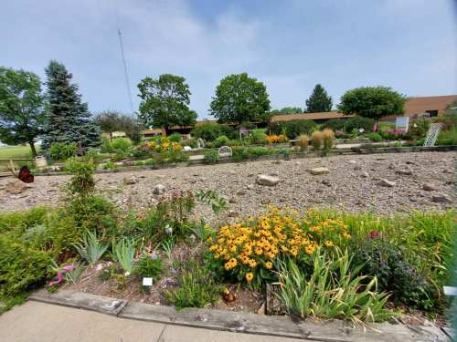 A vibrant garden filled with colorful flowers, rocks, and greenery under a clear blue sky.