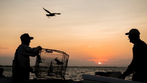 Two fishermen silhouetted against a sunset, one holding a crab trap while a bird flies overhead.
