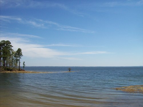 A serene lake scene with calm waters, a clear blue sky, and trees lining the shore.