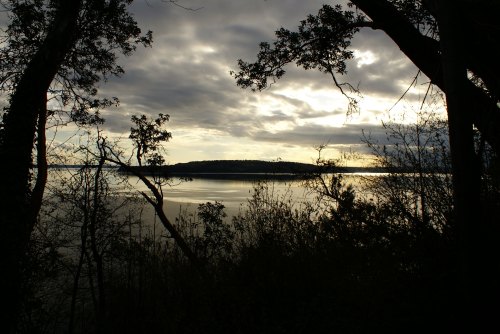 A serene landscape featuring a calm lake surrounded by trees under a cloudy sky at dusk.