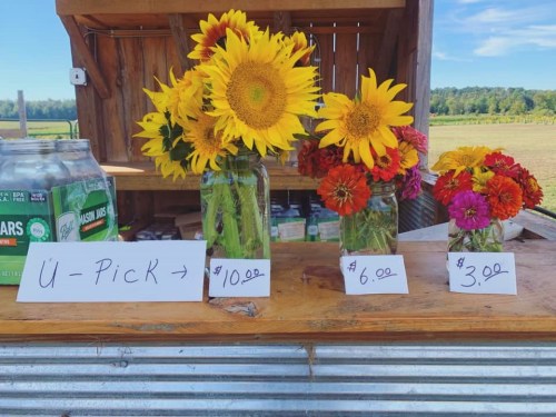 A wooden stand displays three jars of flowers with price signs: $10 for sunflowers, $6 for mixed flowers, and $3 for smaller blooms.