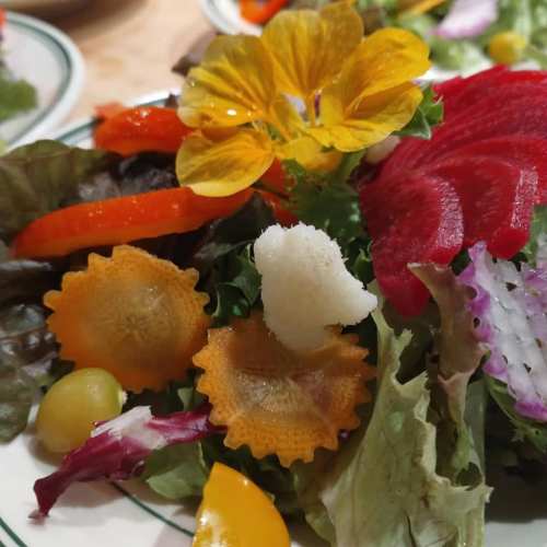 A colorful salad featuring mixed greens, vibrant flowers, and various sliced vegetables.