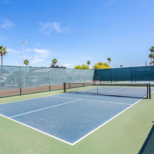 A sunny tennis court with a blue surface, surrounded by palm trees and a clear blue sky.