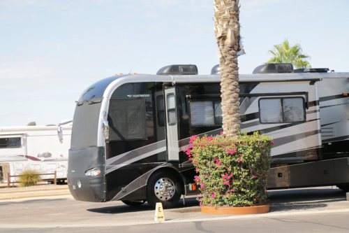 A black and silver RV parked near a palm tree and flowering bushes in a sunny outdoor setting.