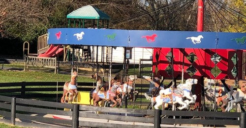 A carousel with colorful horses, surrounded by a playground and green grass on a sunny day.