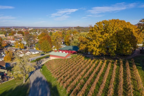 Aerial view of a vineyard with autumn foliage, a red barn, and a winding road in a rural landscape.
