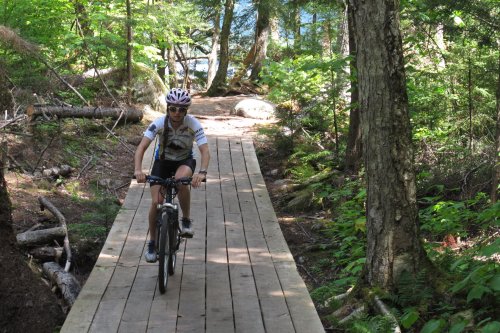 A cyclist rides on a wooden path through a lush green forest. Sunlight filters through the trees.
