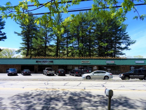A storefront with multiple businesses, surrounded by trees, and parked cars in front on a sunny day.