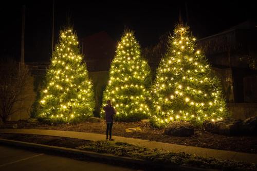 A child stands in front of three brightly lit Christmas trees at night, surrounded by a dark landscape.