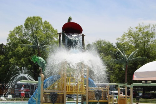 A colorful water slide with splashes, surrounded by palm trees and a playground, on a sunny day.