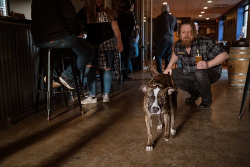 A man crouches beside a dog in a lively bar, with patrons seated and standing in the background.