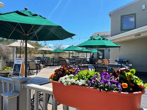 Outdoor dining area with green umbrellas, tables, and colorful flower planters under a clear blue sky.