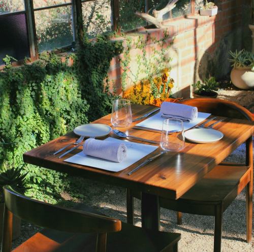 A cozy dining table set with plates, glasses, and rolled napkins, surrounded by greenery and natural light.